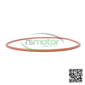 Junta Tórica MWM 12282793 sobre un fondo blanco y con el logo de "RS Motor" en el centro