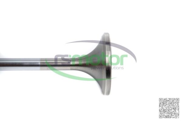 Inlet Valve MWM RS-12283254 - Image 6