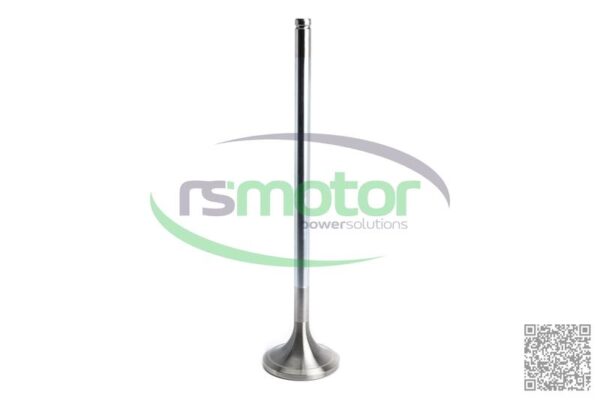 Inlet Valve MWM RS-12283254 - Image 7