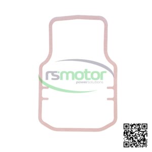Junta MWM RS 12284946 sobre un fondo blanco con el logo de RS Motor de fondo