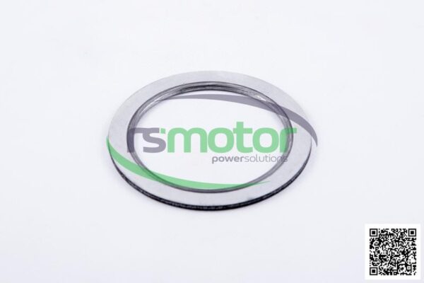 Gasket MWM RS-12285504 - Image 2