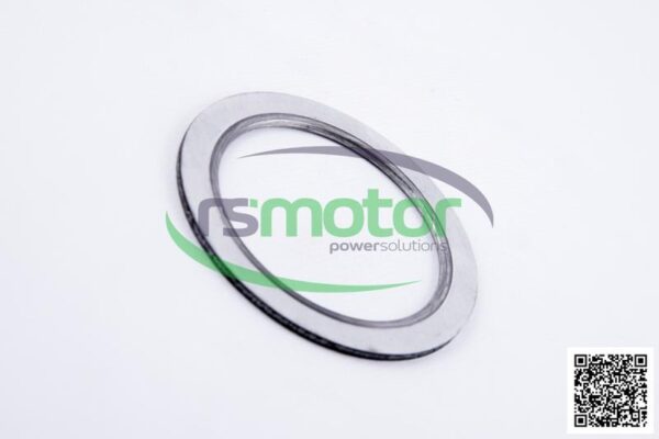 Gasket MWM RS-12285504 - Image 6