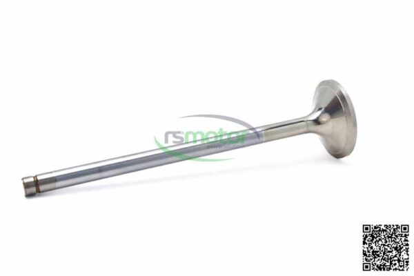 Exhaust valve MWM RS-12300235
