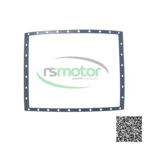 Junta MWM RS-12300810 rectangular con orificios en el borde y el logotipo "rsmotor powersolutions" en el centro.