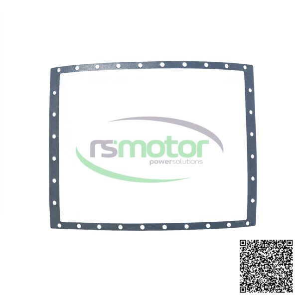 Junta MWM RS-12300810
