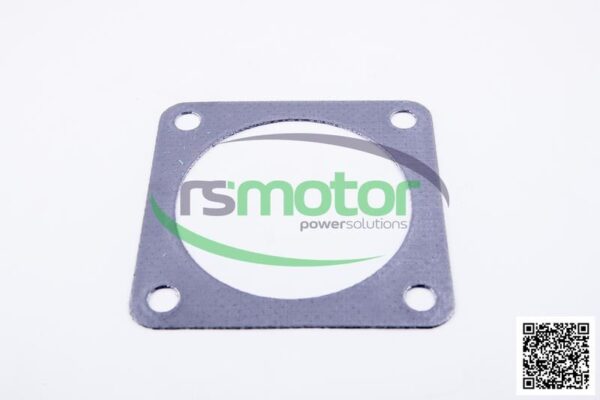 Flat Gasket MWM RS-12301387 - Image 2