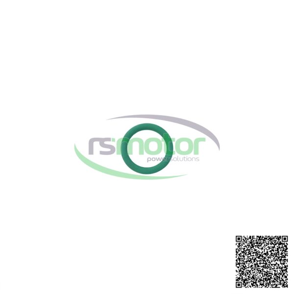 Junta tórica MWM RS-12301481 - Imagen 2