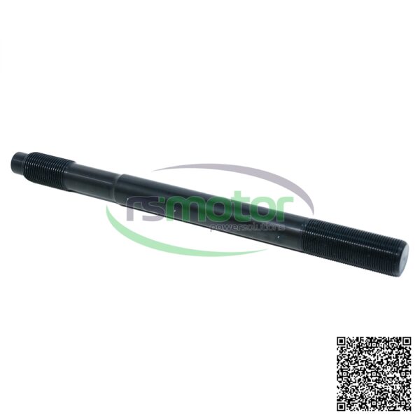 Perno MWM RS-12303038