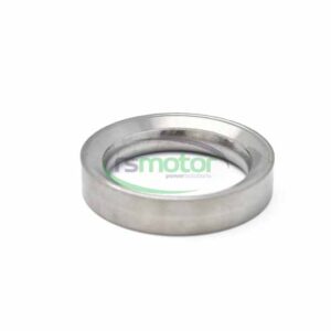 Valve Seat Insert MWM RS-12303495