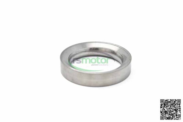 Valve Seat Insert MWM RS-12303495