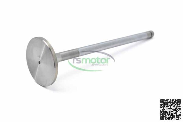 Inlet Valve MWM RS-12304754