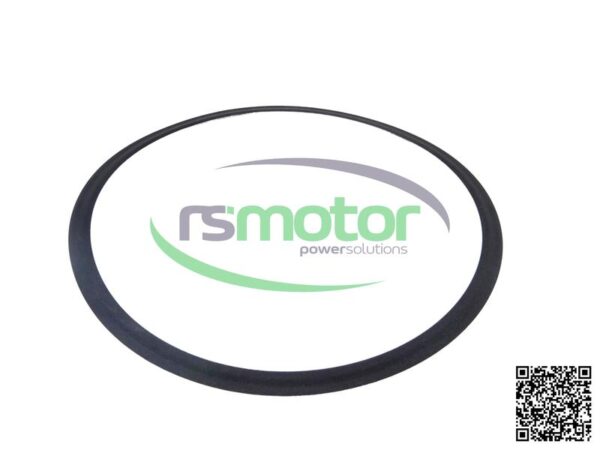 Anillo de Sellado MWM RS-12305008 - Imagen 3