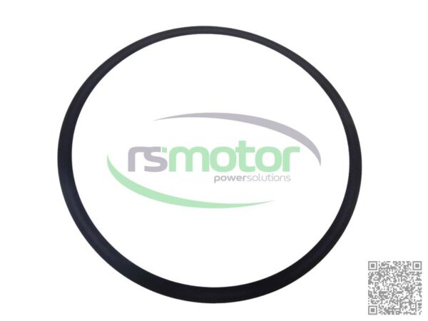 Anillo de Sellado MWM RS-12305008 - Imagen 4