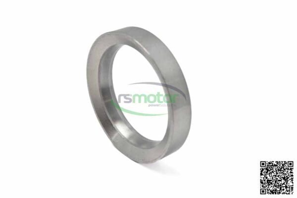 Valve Seat Insert Intake MWM RS-12306528