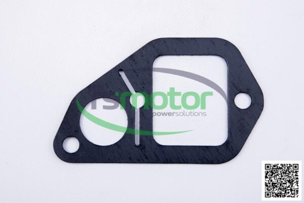 Junta MWM RS-12313151 - Imagen 2