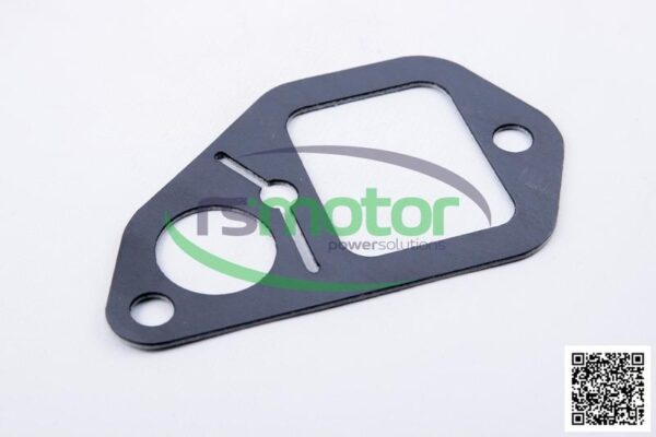 Junta MWM RS-12313151 - Imagen 3