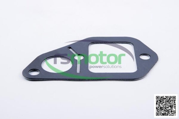 Junta MWM RS-12313151 - Imagen 5