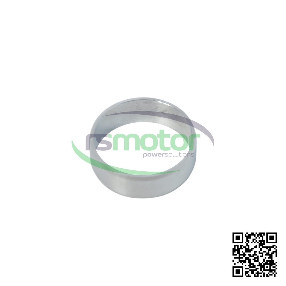 Bush MWM RS 12319853 spbre un fondo blanco con el logo de RS Motor de fondo