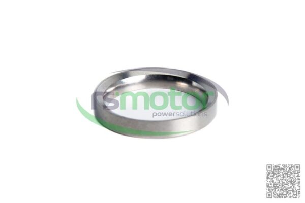 Valve Seat Insert MWM RS-12319866 - Image 6