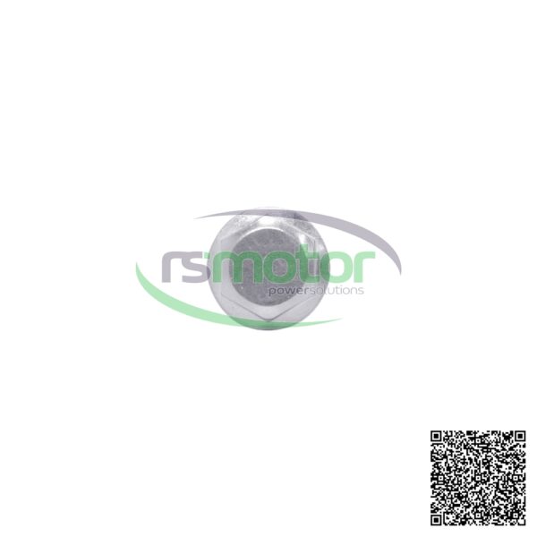 Hexagon Bolt MWM RS-12319881 - Image 6