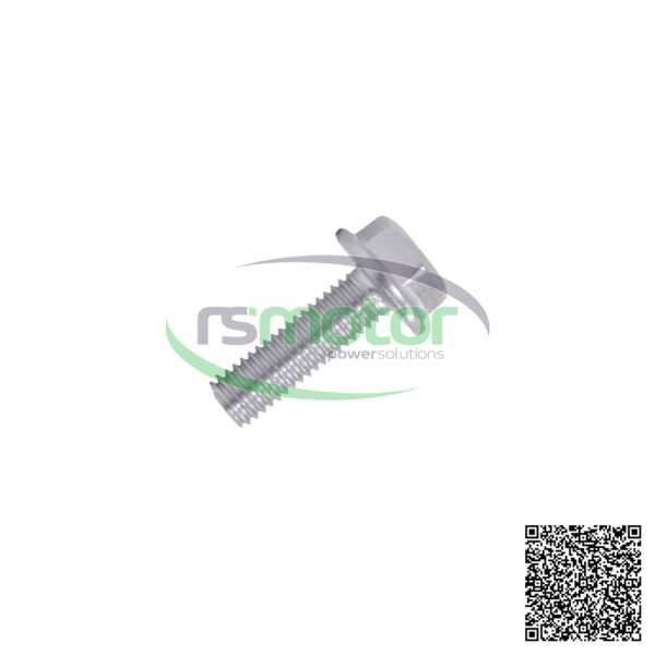 Hexagon Bolt MWM RS-12319881