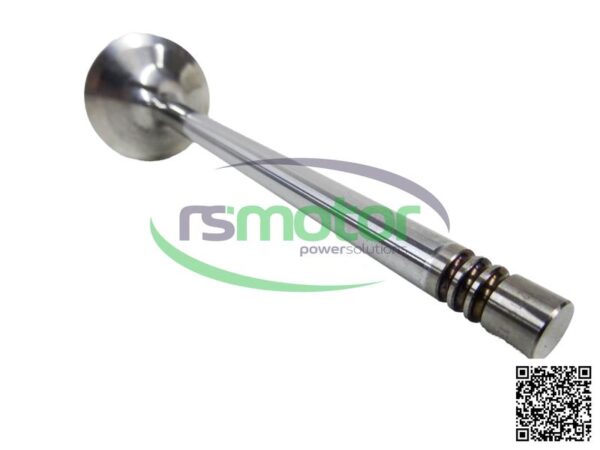 Inlet Valve MWM RS-12319913 - Image 2