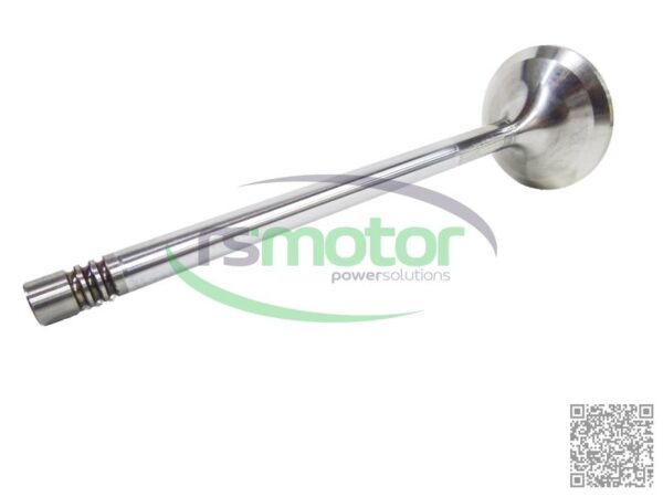 Inlet Valve MWM RS-12319913 - Image 3