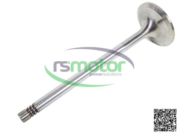 Inlet Valve MWM RS-12319913 - Image 4