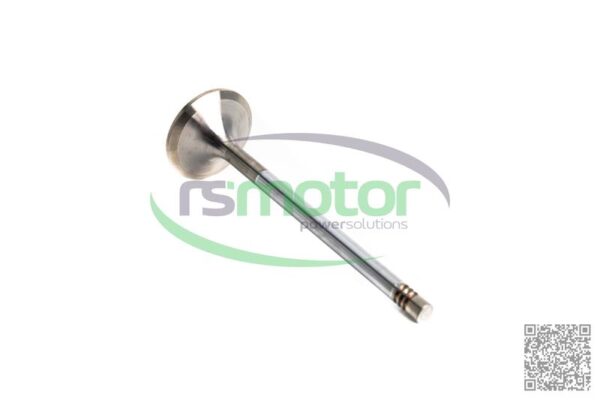 Inlet Valve MWM RS-12319913 - Image 5
