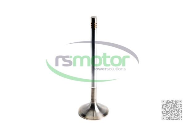 Inlet Valve MWM RS-12319913 - Image 6