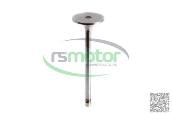 Inlet Valve MWM RS-12319913 - Image 7