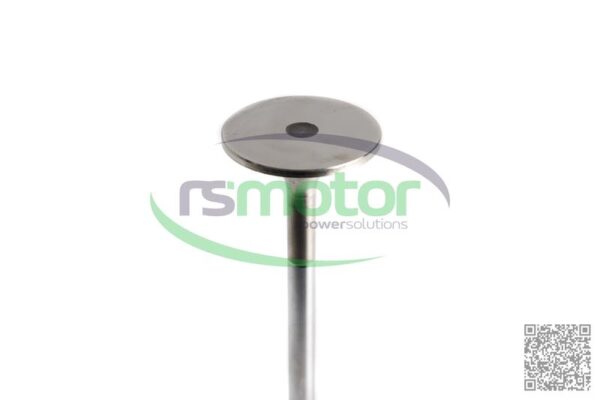 Inlet Valve MWM RS-12319913 - Image 8