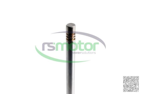 Inlet Valve MWM RS-12319913 - Image 9