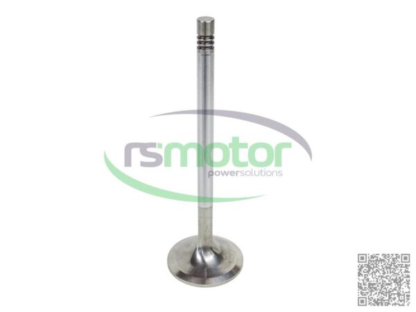 Inlet Valve MWM RS-12319913 - Image 10