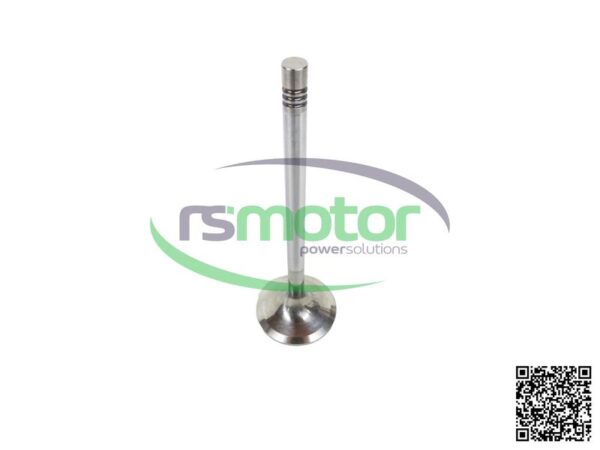 Inlet Valve MWM RS-12319913 - Image 11