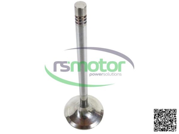 Inlet Valve MWM RS-12319913 - Image 12