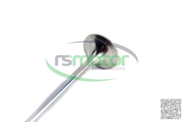 Válvula de escape MWM RS-12319916 - Imagen 2