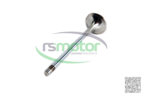 Válvula de escape MWM RS-12319916 - Imagen 4
