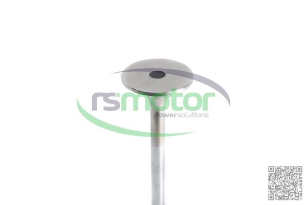 Válvula de escape MWM RS-12319916 - Imagen 6