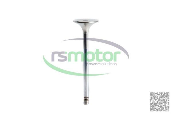 Válvula de escape MWM RS-12319916 - Imagen 7