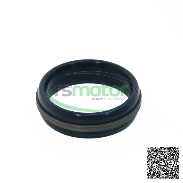 Casquillo MWM RS-12342153