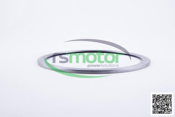 Cylind. Head Gasket MWM RS-12342835 - Image 4