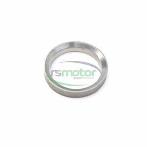 Valve Seat Insert MWM RS-12344379