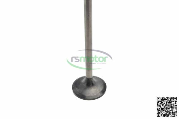 Válvula de Admision MWM RS-12344649 - Imagen 5