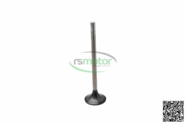 Válvula de escape MWM RS-12344650 - obrazek 4