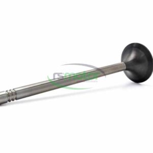 Exhaust Valve MWM RS-12344650