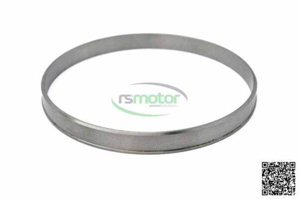 Coke Scraper Ring MWM RS-12344823