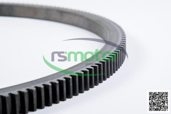 Gear Rim MWM RS-12345138 - Image 5