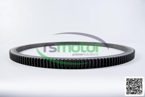Gear Rim MWM RS-12345138 - Image 6