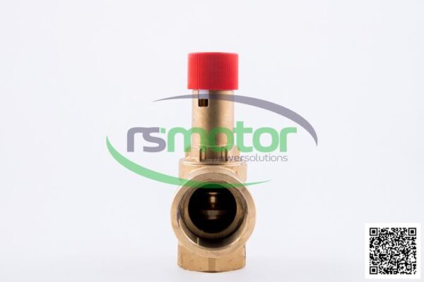 Safety Valve MWM RS-12403084 - Image 4